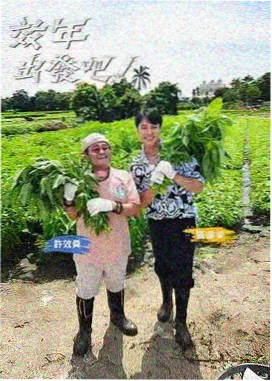 凌晨四点电台综艺封面